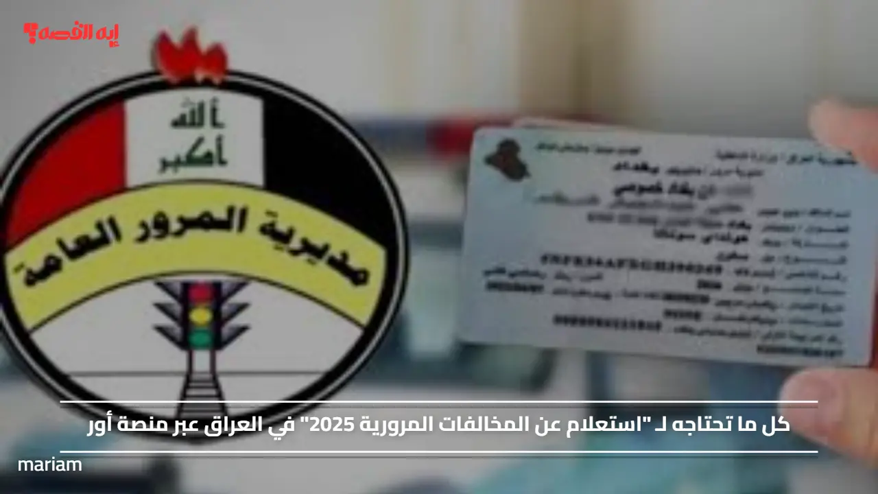 “بوابة أور العراقية” .. استعلم عن غرامات المرور بالرقم الألماني في ثواني من البيت!